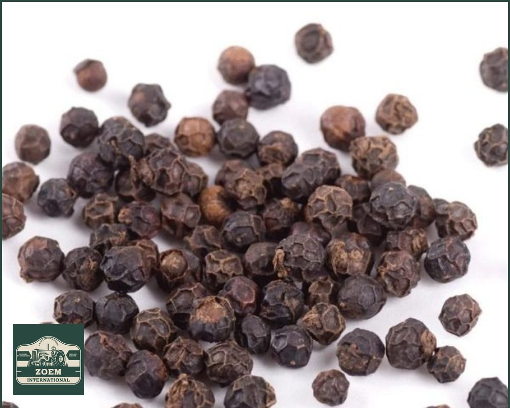 Black Pepper