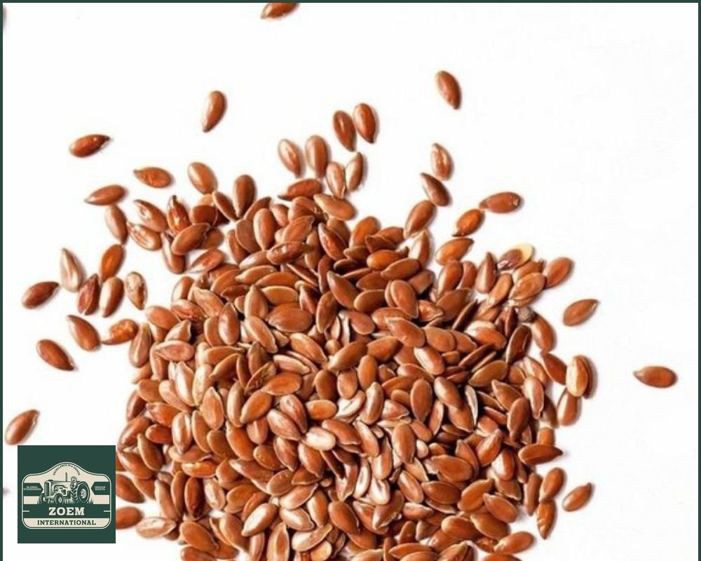 Flax Seeds