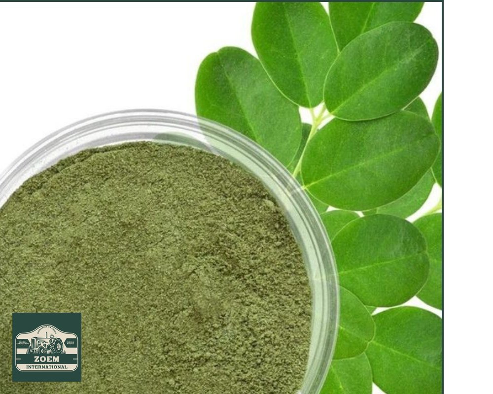 Moringa Powder