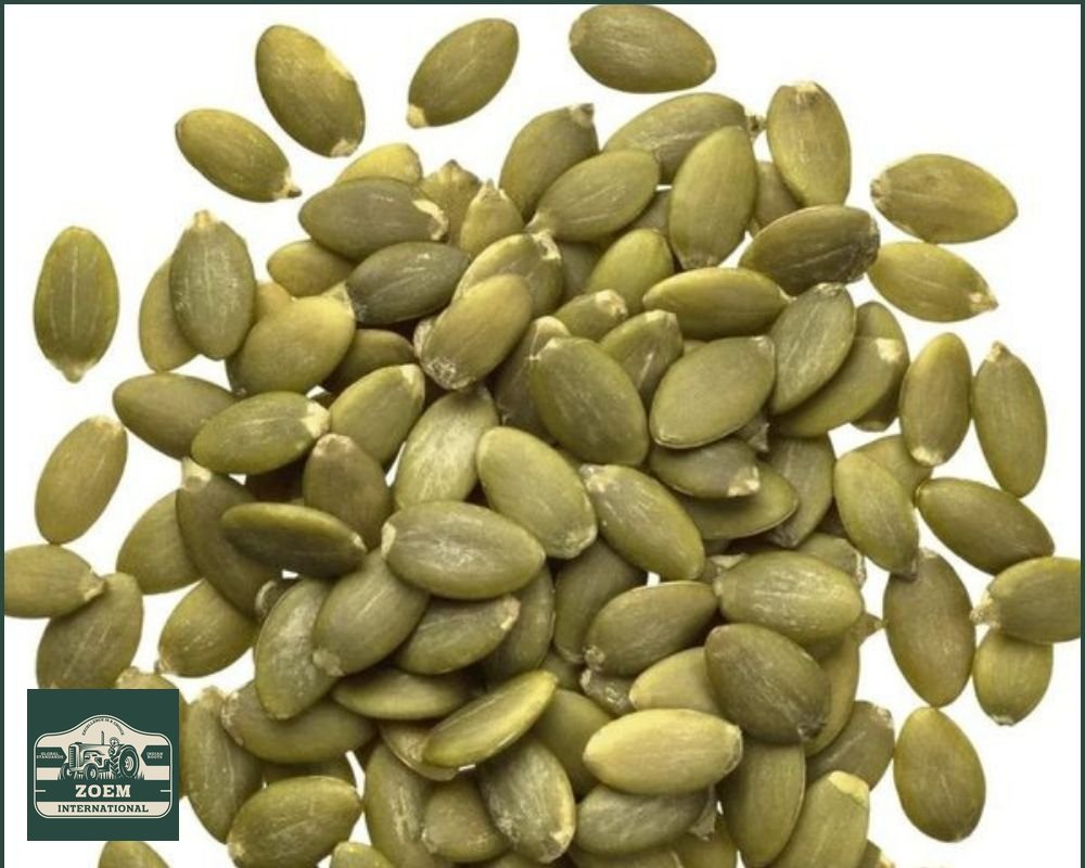 Pumpkin Seeds