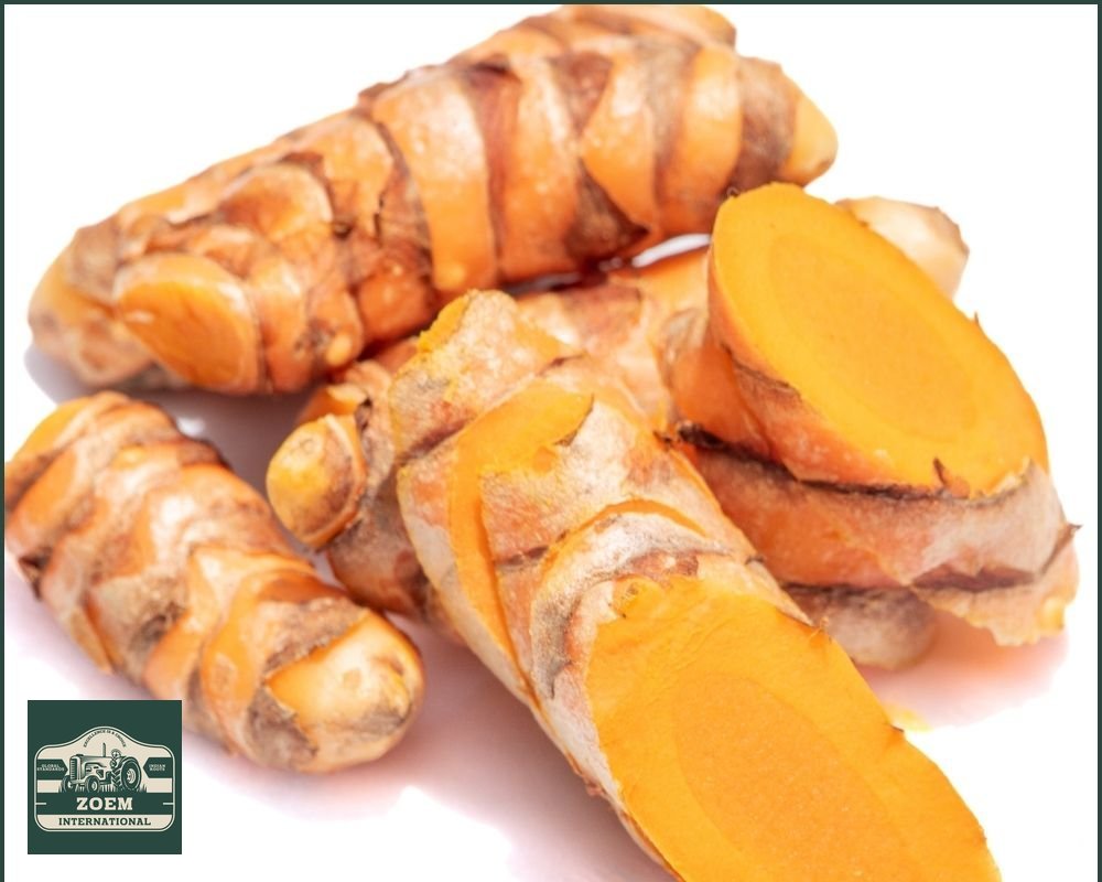 Raw Turmeric