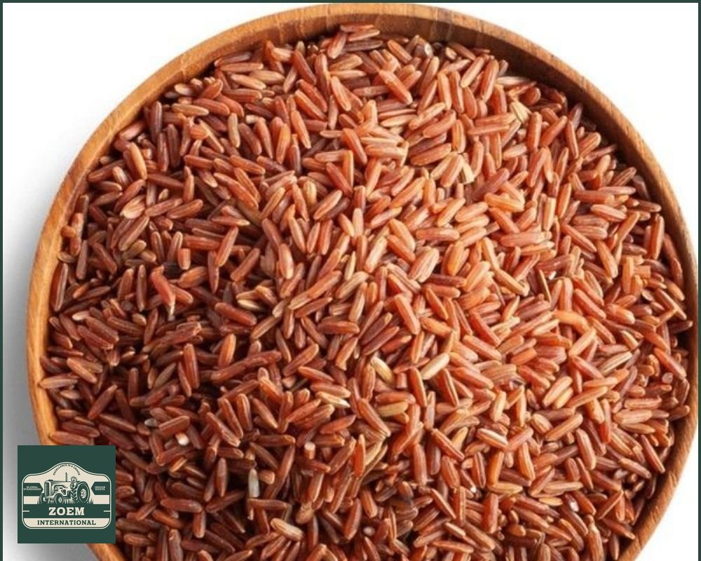 Red Rice