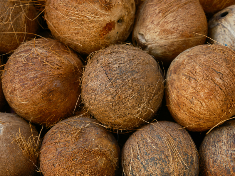 Coconuts (2000 x 1500 px)