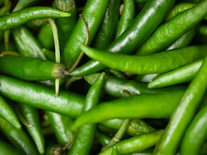 Green Chilli 1200 x 1200